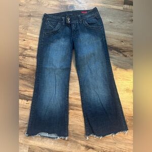Express X2 Regular Distressed Jeans
